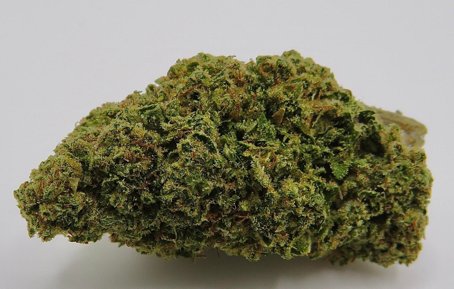 Seaweed Flower: 1/2 & Oz Specials