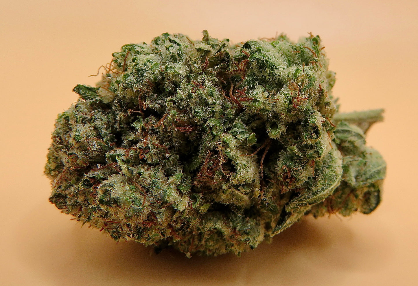 Seaweed Flower: 1/2 & Oz Specials
