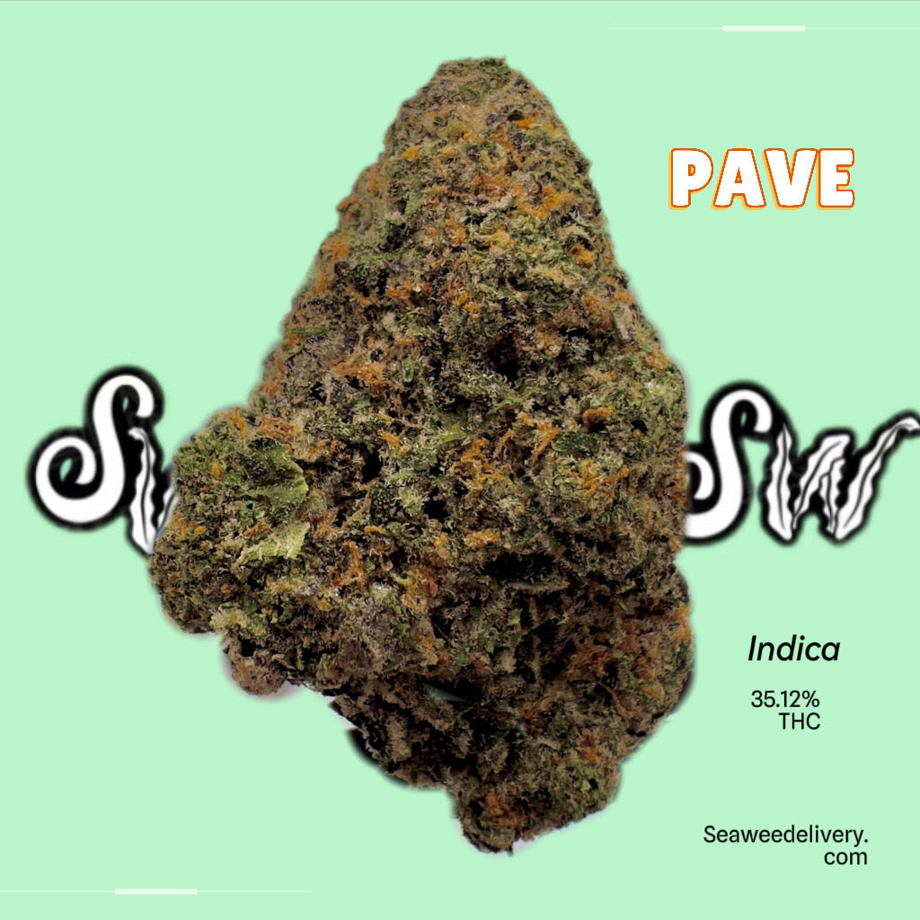 Pavé Exotic (Indica)