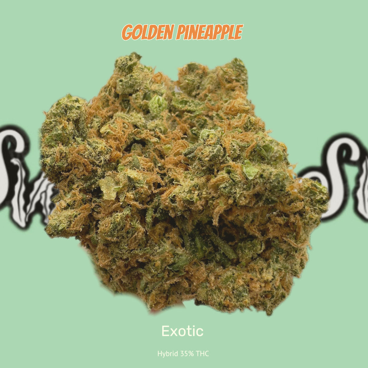 Golden Pineapple - Exotic (Hybrid)