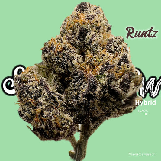 Runtz - Exotic (Hybrid)