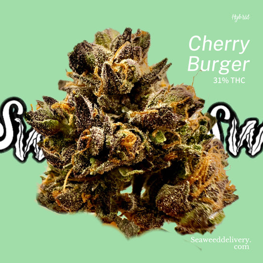Cherry Burger (Hybrid)