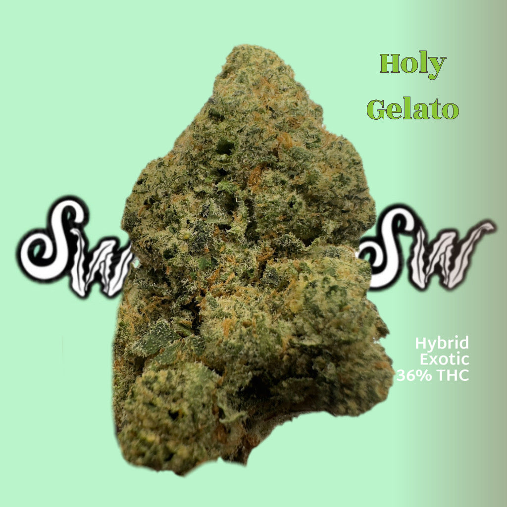 Holy Gelato (Exotic- Hybrid)