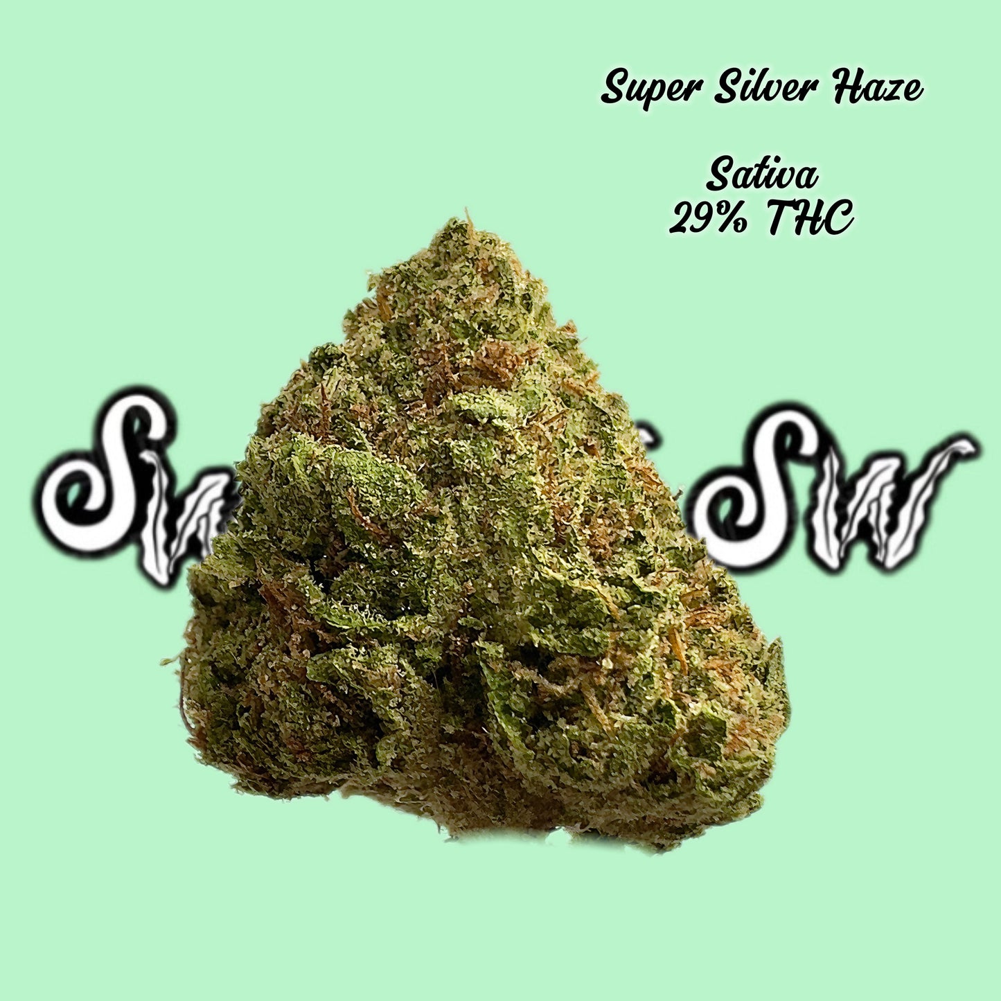 S.S Haze (Sativa)