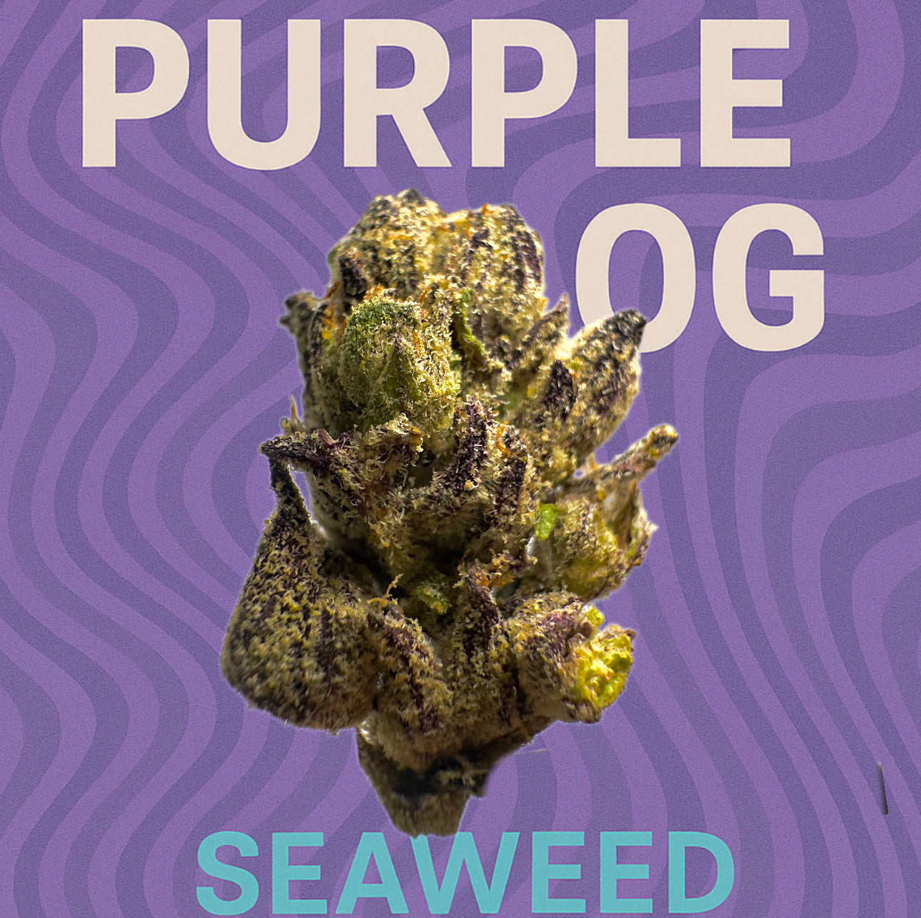 Purple OG - (Indica)