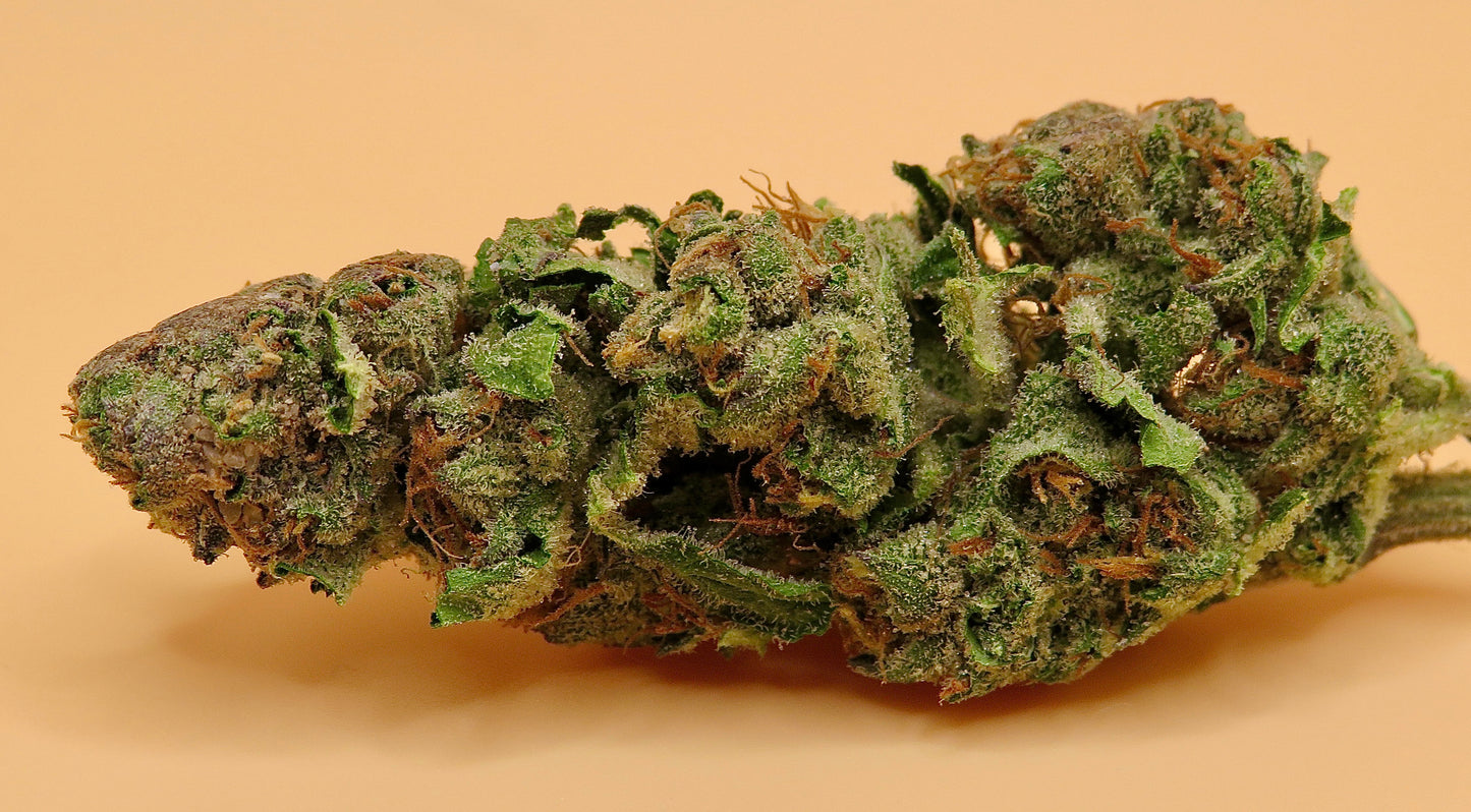 Seaweed Flower: 1/2 & Oz Specials