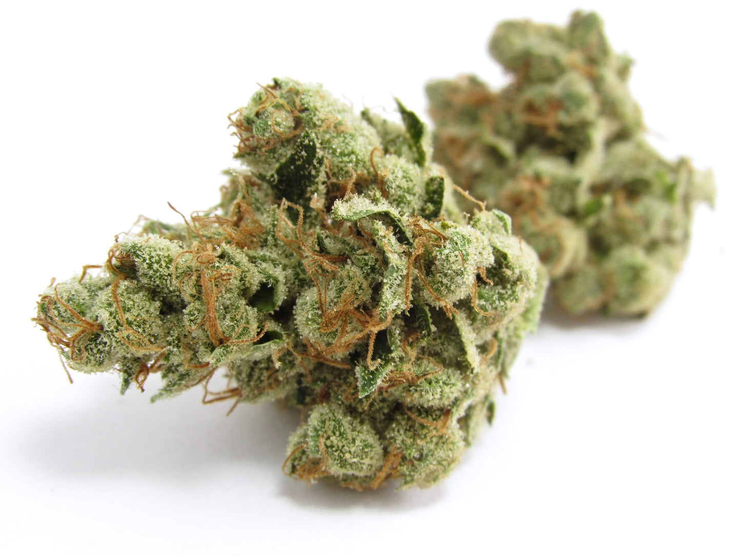 Up North Indoor Exotic Flower (Tax Included)