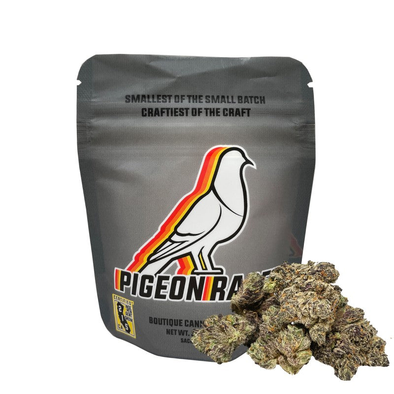 Pigeon Racer (Exotic Indoor - Tax Included)