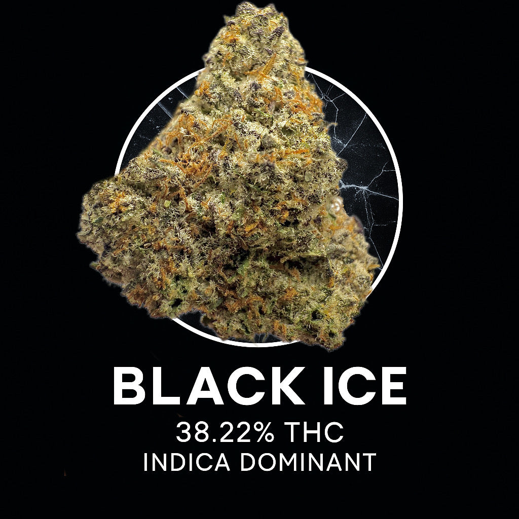 Black Ice - Exotic (Indica Dominant)