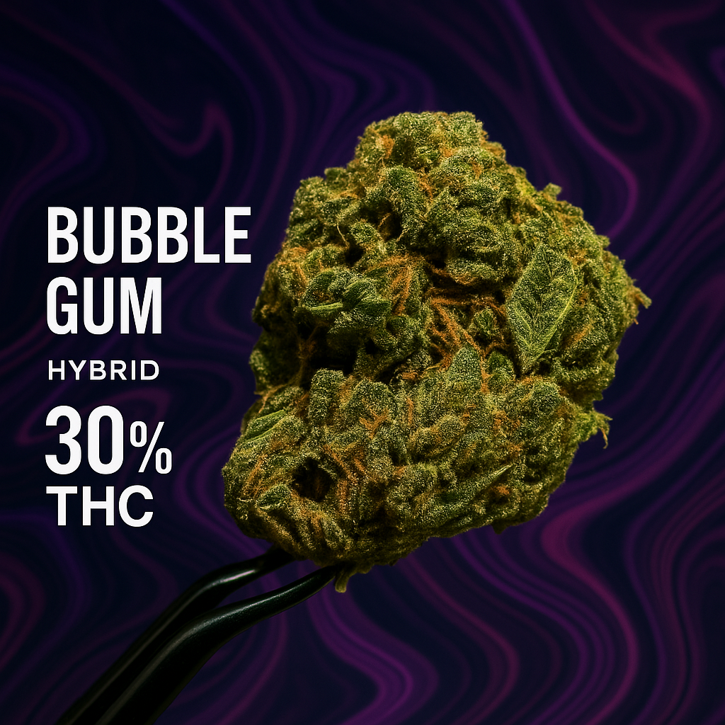 Bubble Gum