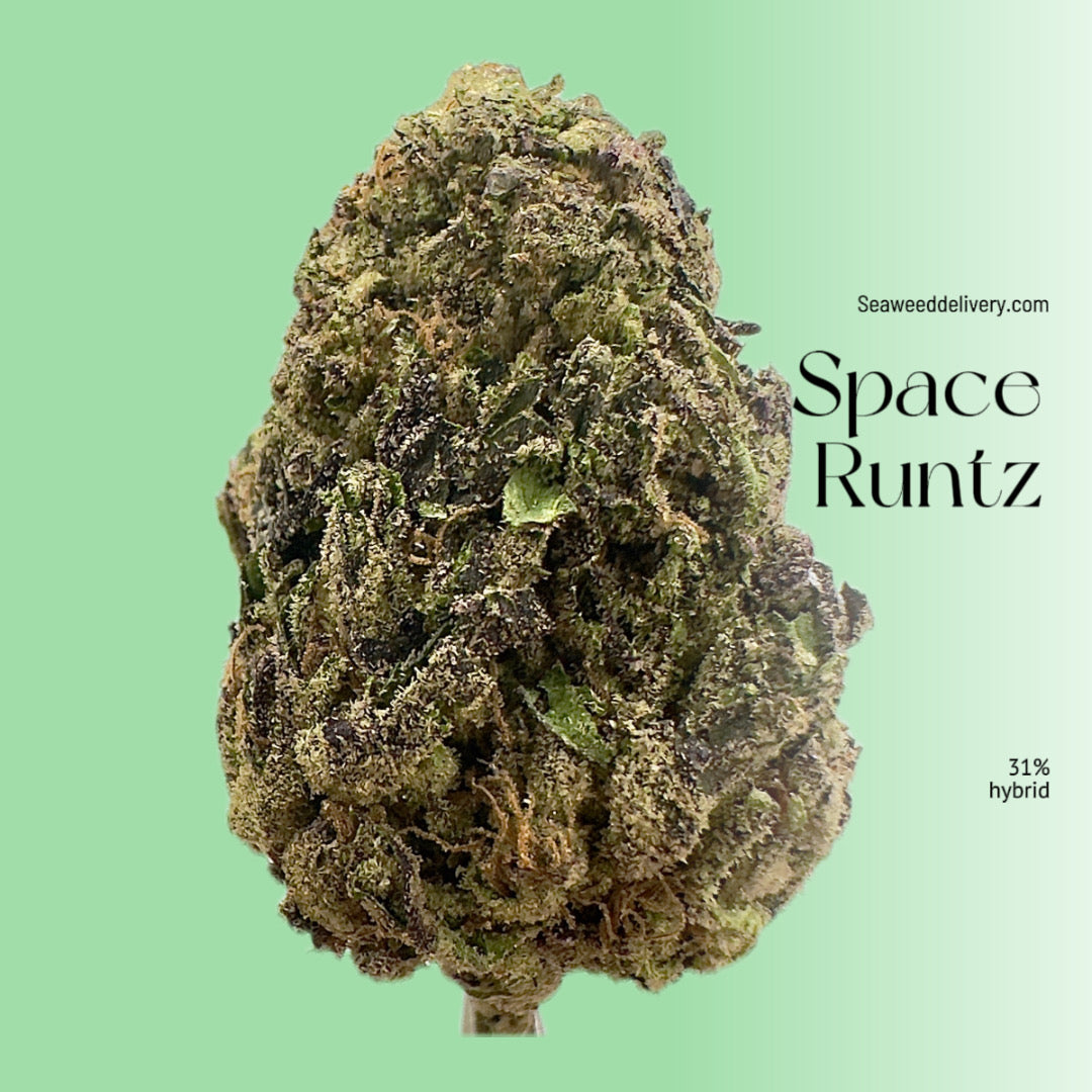 Seaweed Flower: 1/2 & Oz Specials