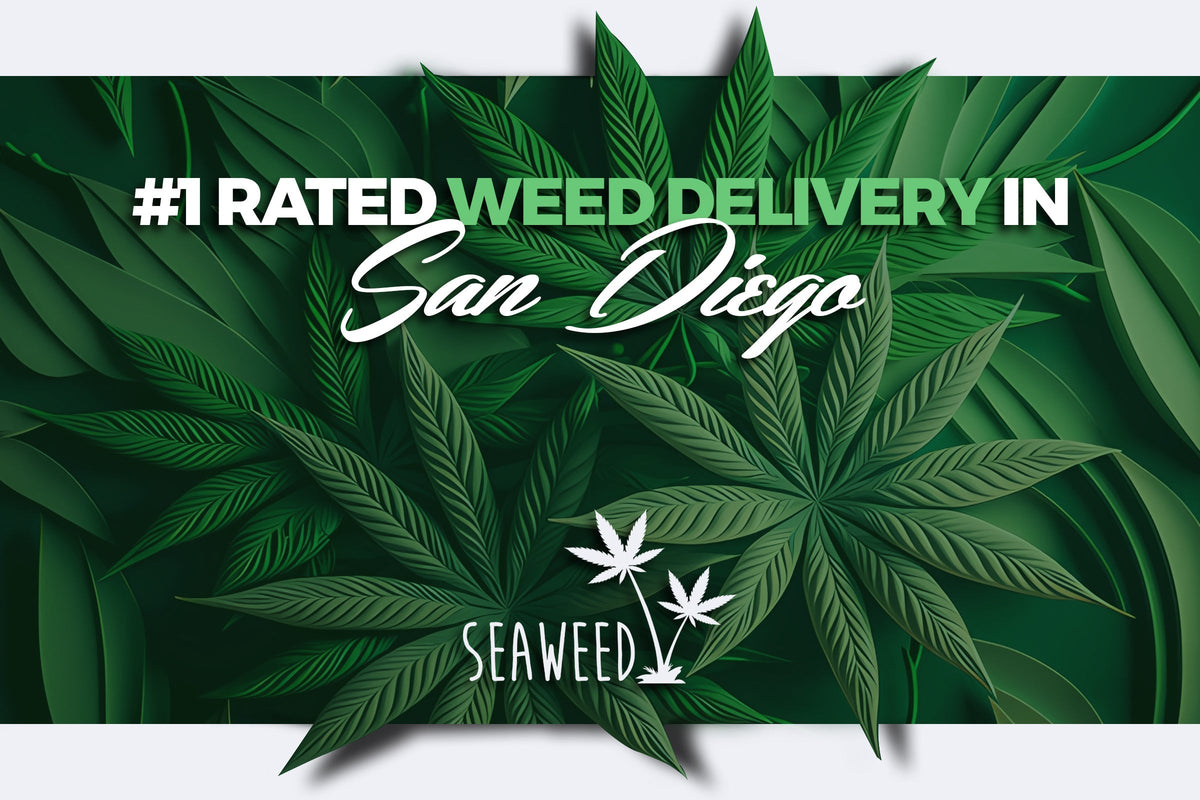 Cannabis Dispensary and Weed Delivery in San Diego – Seaweed Delivery
