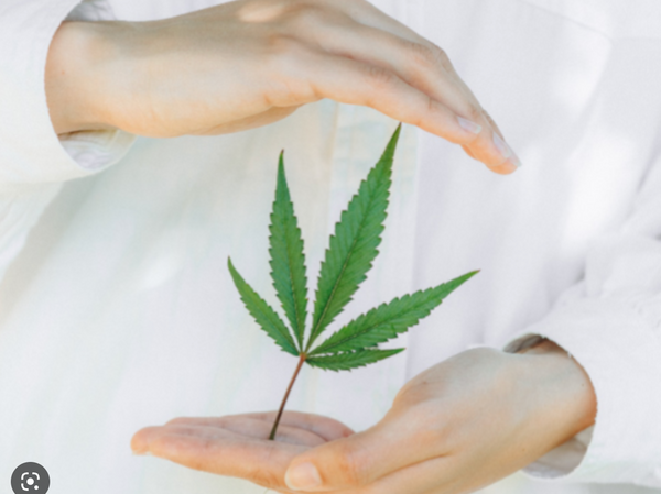 Cannabis and Mental Health: Exploring the Connection and Seaweed Delivery's Role