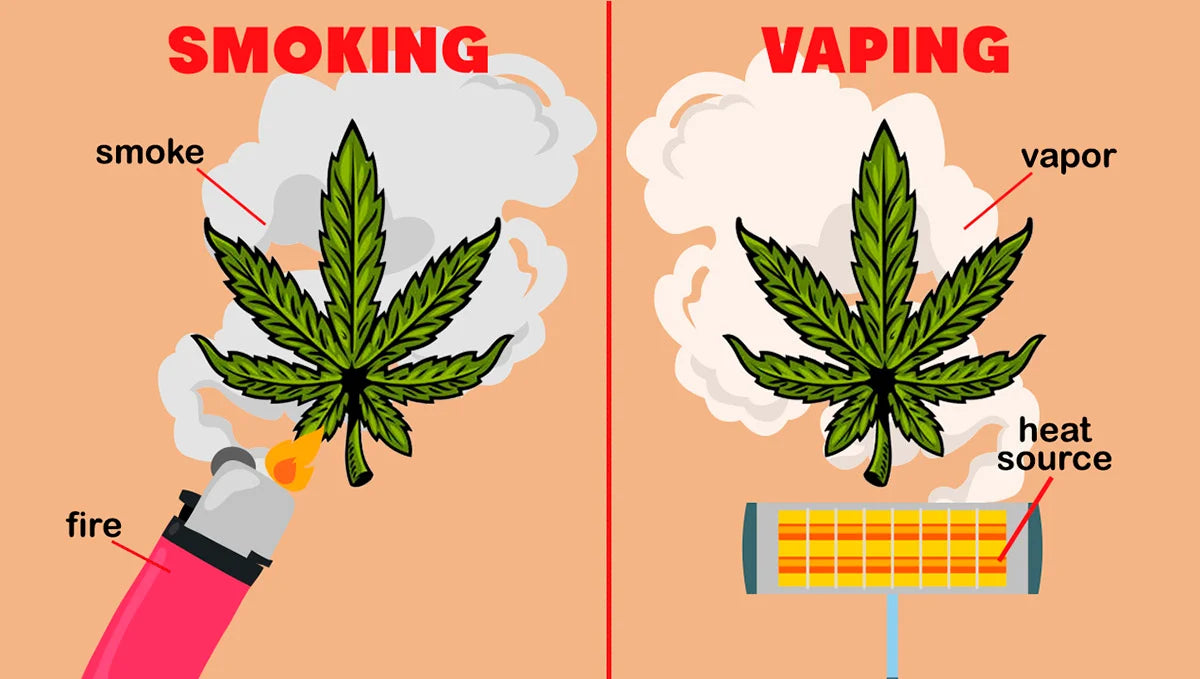 Vaping vs. Smoking: Which is Best for You? - SeaweedDelivery Vaping vs. Smoking: Which is Best for You? - SeaweedDelivery