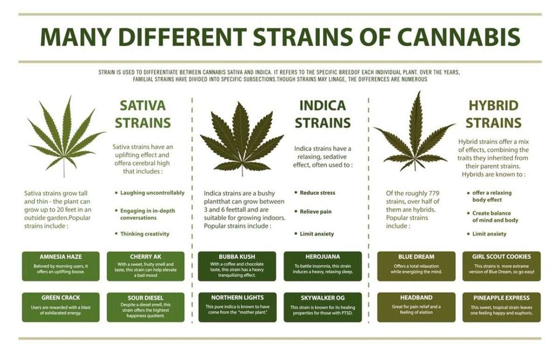 Finding The Right Strain ForFinding The Right Strain For You You