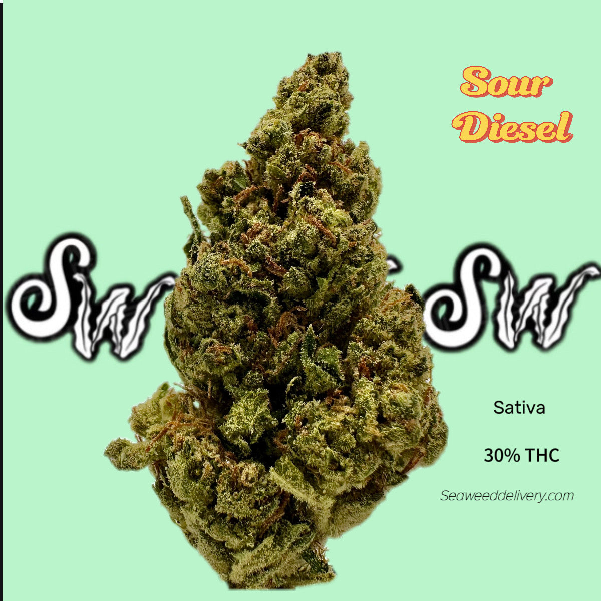Sour Diesel Weed Strain