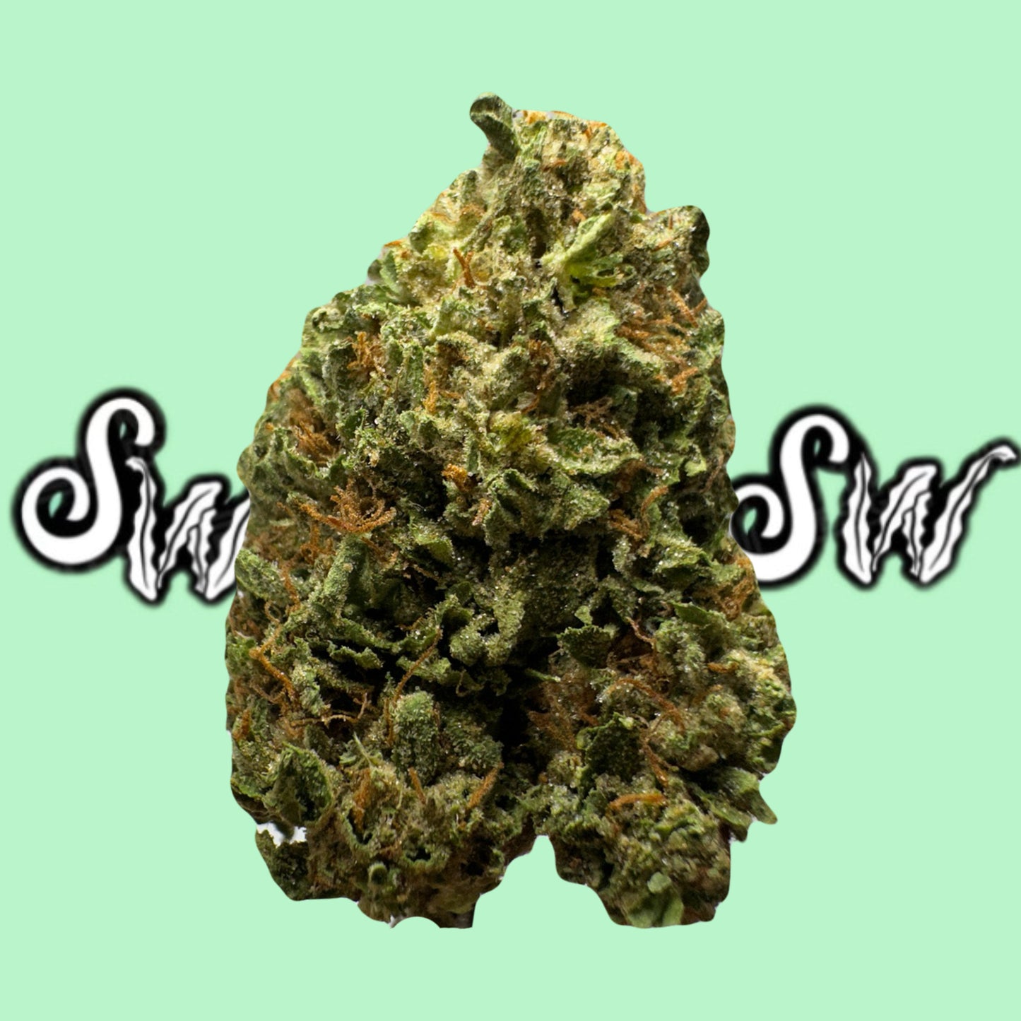 Blueberry Dream (Sativa) Top Shelf