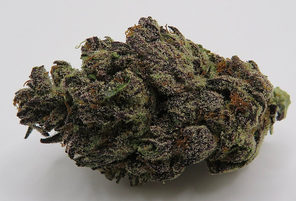 Seaweed Flower: 1/2 & Oz Specials