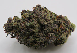 Seaweed Flower: 1/2 & Oz Specials