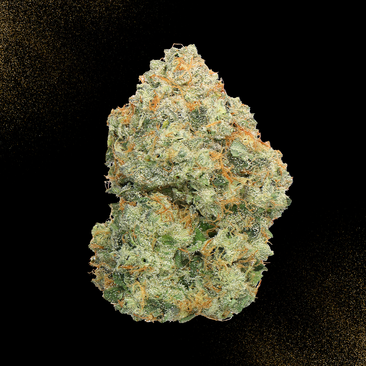 Cream of the Crop Exotic Flower (Tax Included)