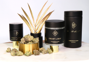 Cream of the Crop Exotic Flower (Tax Included)