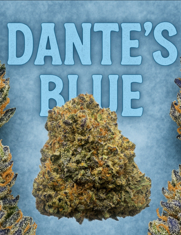 Dante's Blue - Exotic