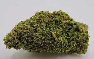 Seaweed Flower: 1/2 & Oz Specials