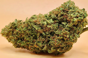 Jack Herer