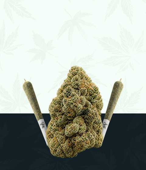 Cookies Encinitas — Lab-Tested Cannabis Delivered Fast to Your Door