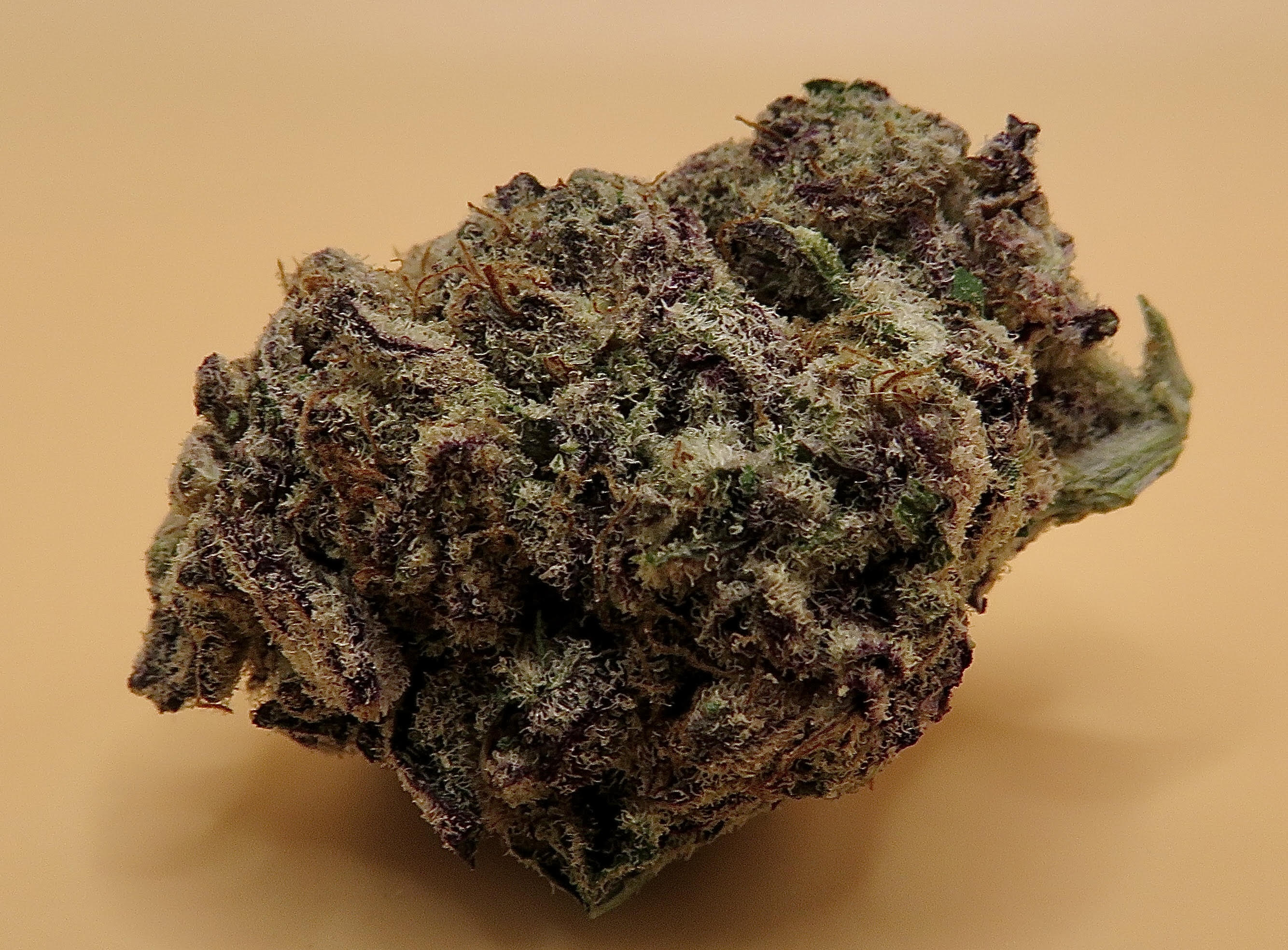 Fruit Punch Weed Strain Energetic Sativa Seaweed Delivery San Diego