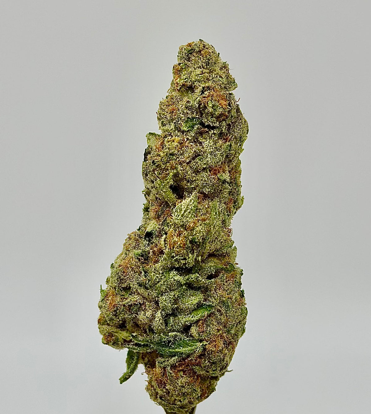 Golden Gas (Indica)