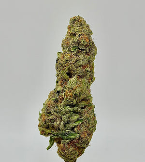 Golden Gas (Indica)