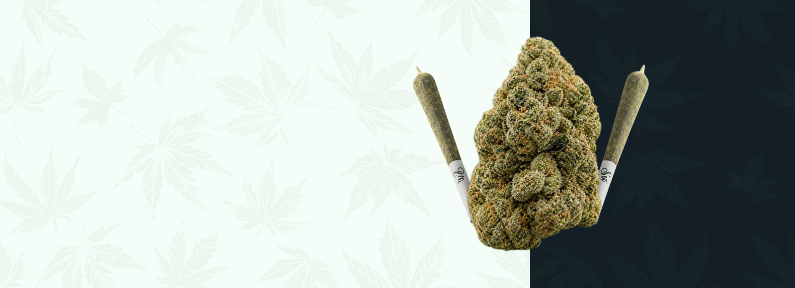 Cookies Encinitas — Lab-Tested Cannabis Delivered Fast to Your Door