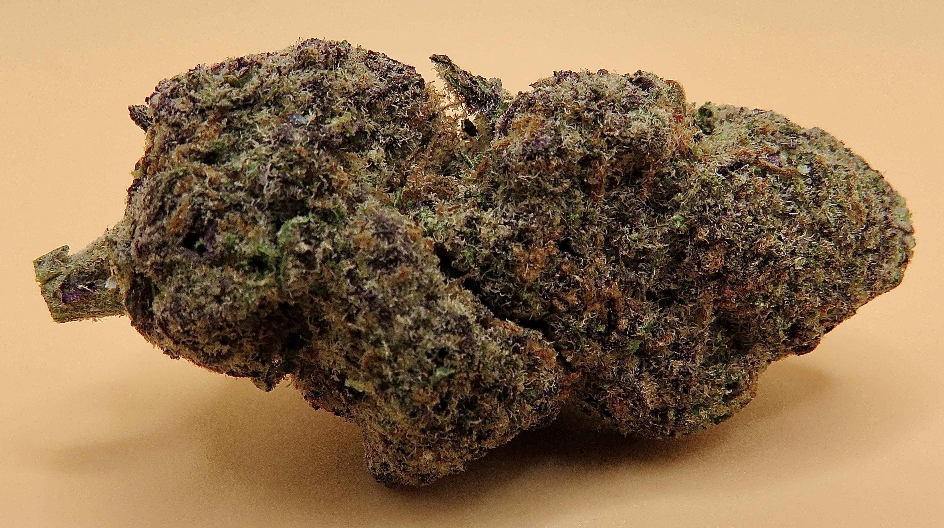Guava Cake strain