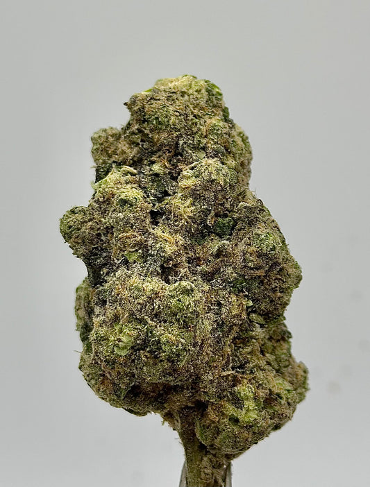 Gush Mintz (Indica)