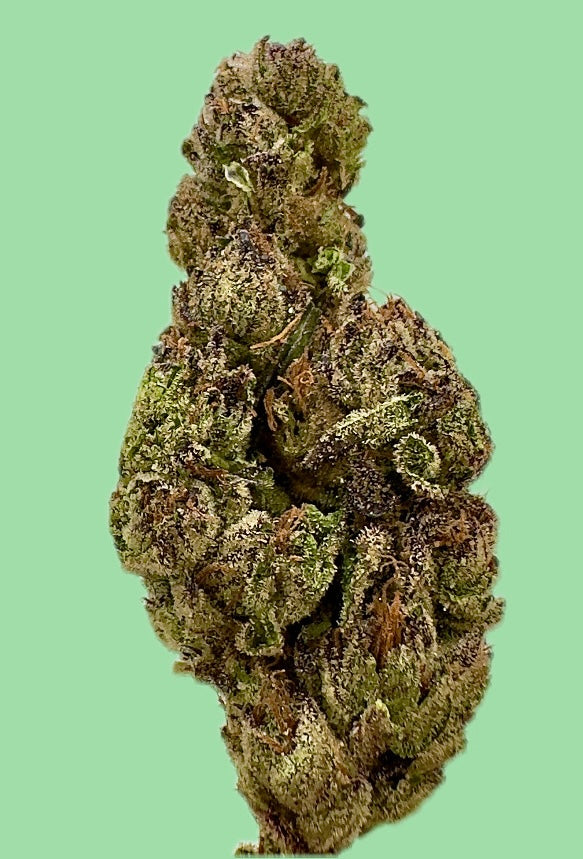 Cereal Milk (Hybrid)