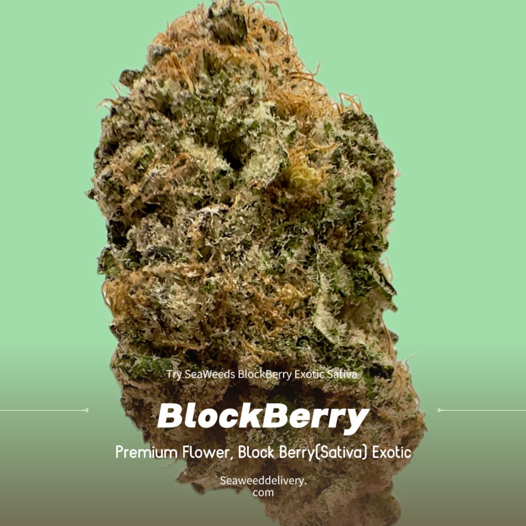 Blockberry (Exotic Sativa)