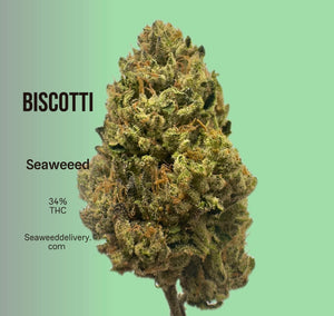 Biscotti (Indica Dominant)