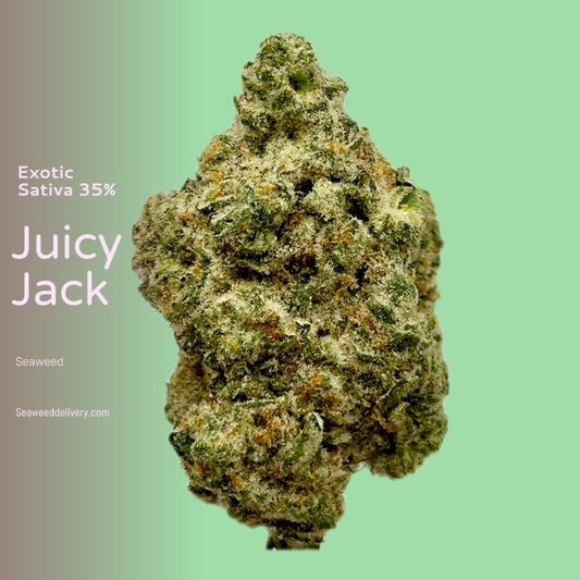 Juicy Jack (Exotic Sativa)