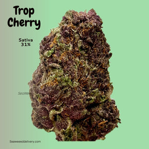 Trop Cherry (Sativa)