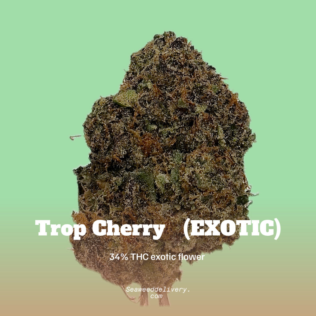 Trop Cherry (Exotic Sativa)