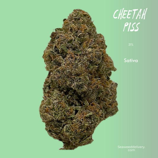 Cheetah Piss (Sativa) - Greenhouse