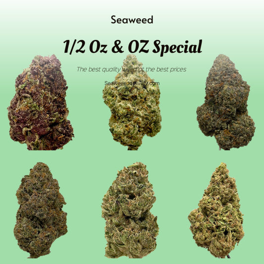 Seaweed Flower: 1/2 & Oz Specials