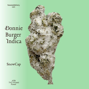Donnie Burger Snow Cones (Exotic Indica)