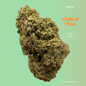 Seaweed Flower: 1/2 & Oz Specials