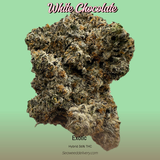 WHITE CHOCOLATE (EXOTIC) HYBRID