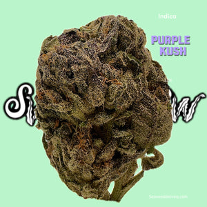 Purple Kush (Indica)