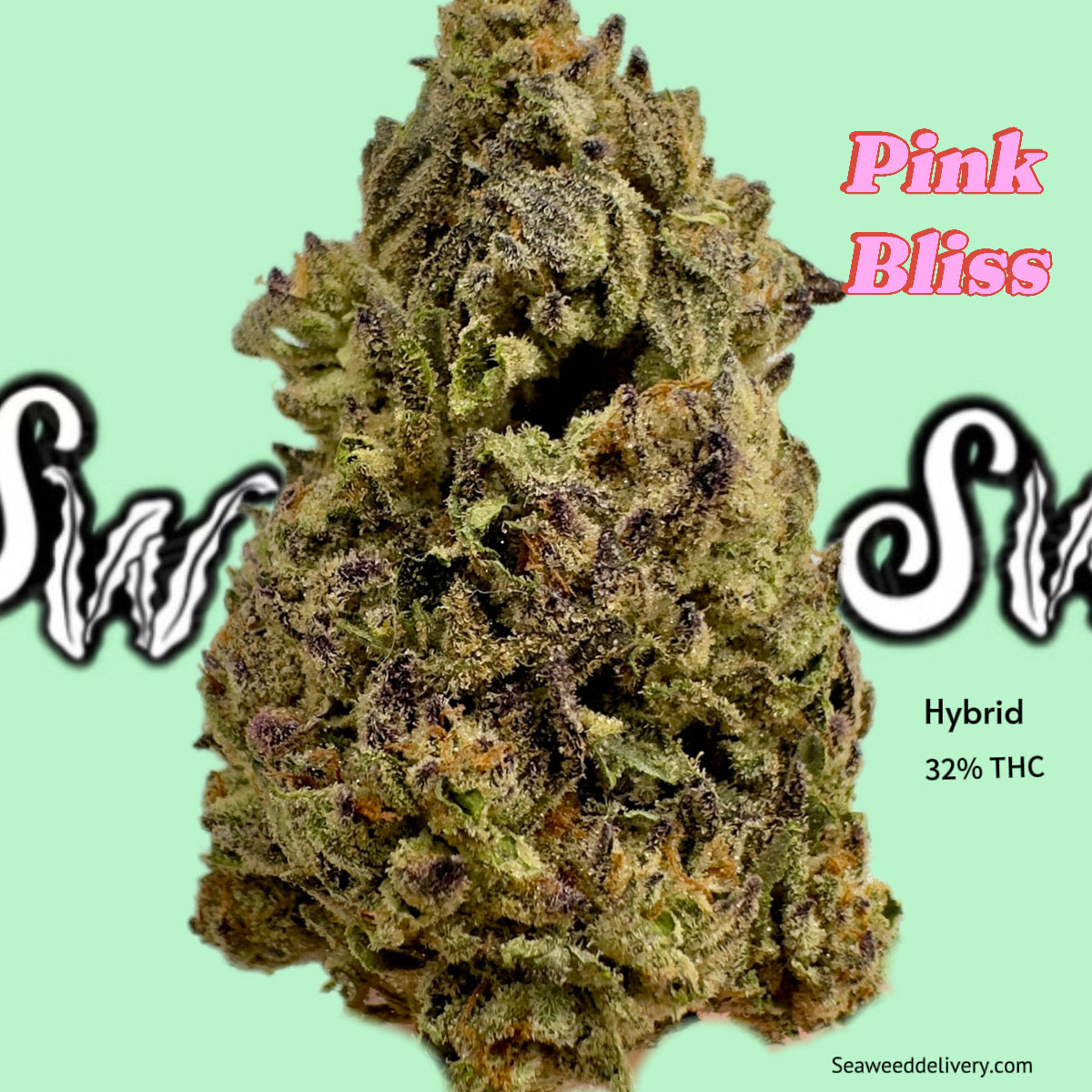 Pink Bliss (Hybrid)