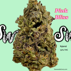 Seaweed Flower: 1/2 & Oz Specials