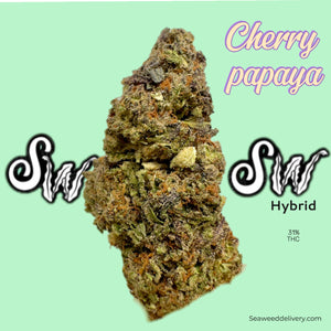 Cherry Papaya (Indica - Hybrid)